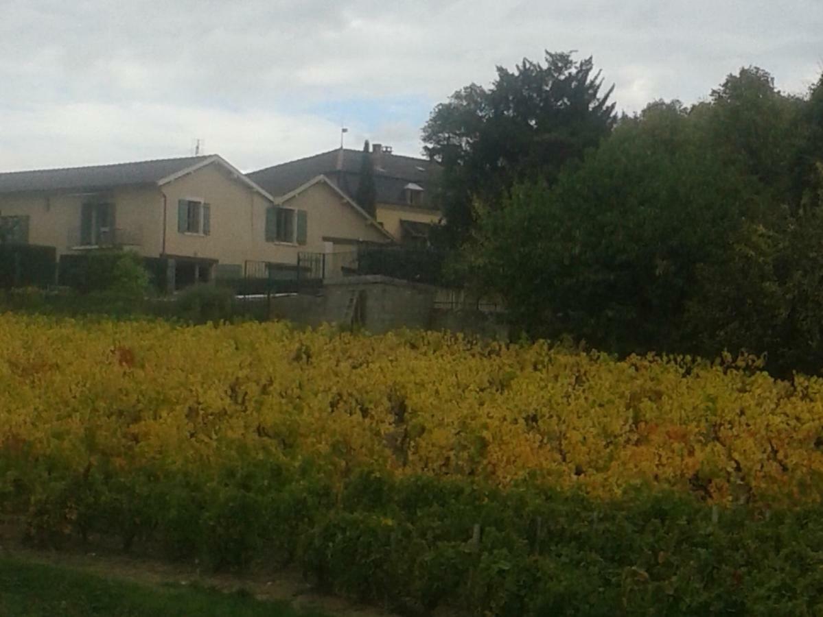 La Maison Des Vignes Charentay Exterior foto