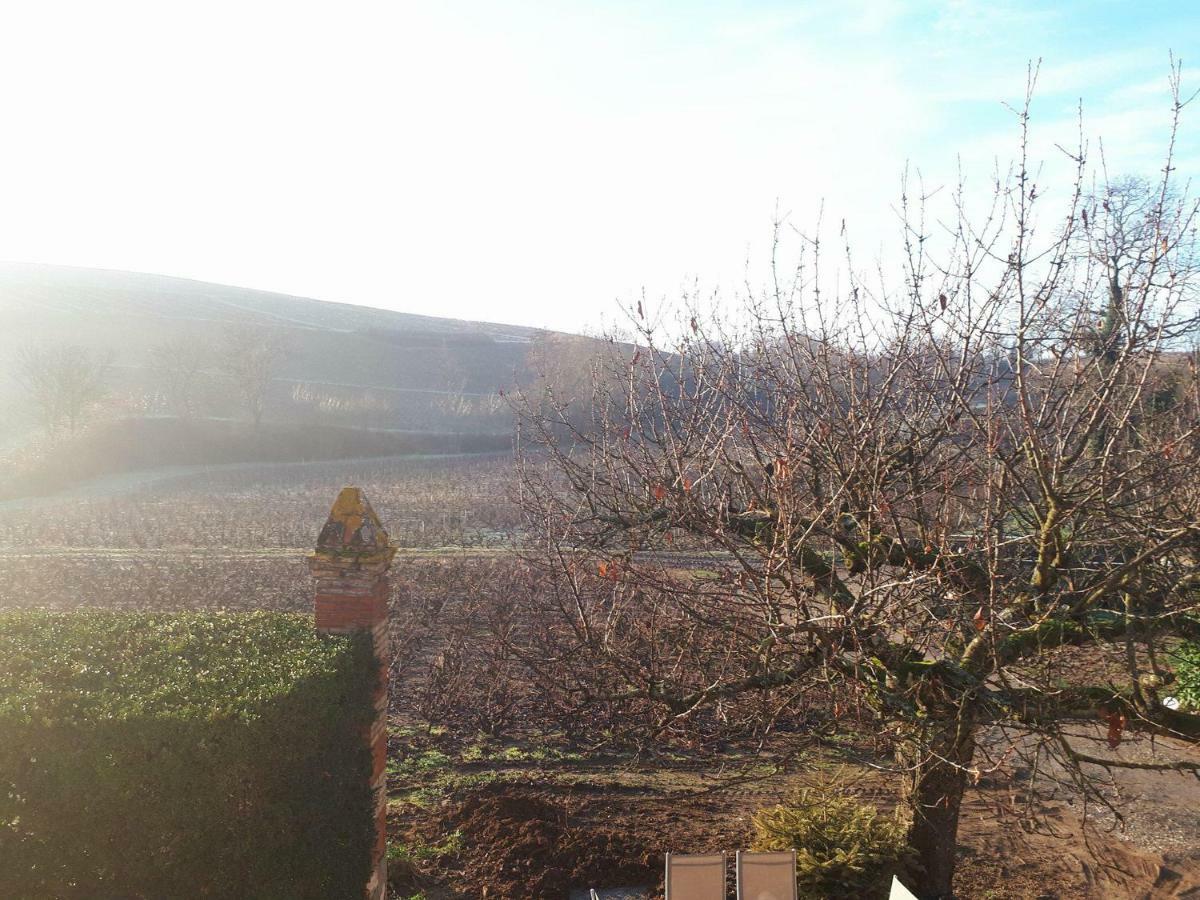 La Maison Des Vignes Charentay Exterior foto